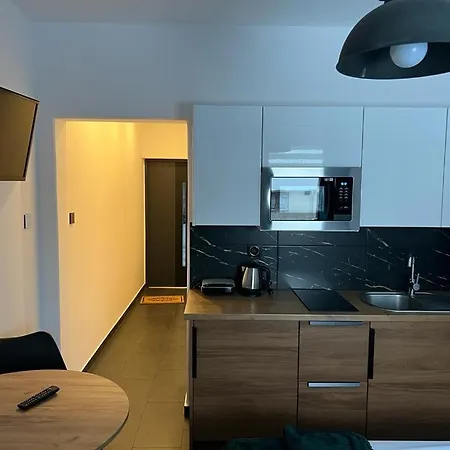 Lejlighed Slowianka -studio